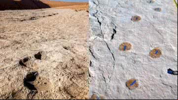 Imagens das pegadas humanas de 90 mil anos - Reprodução/Vídeo/Live Science