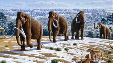 Ilustração com mamutes-lanosos - Imagem por Mauricio Antón pelo Wikimedia Commons