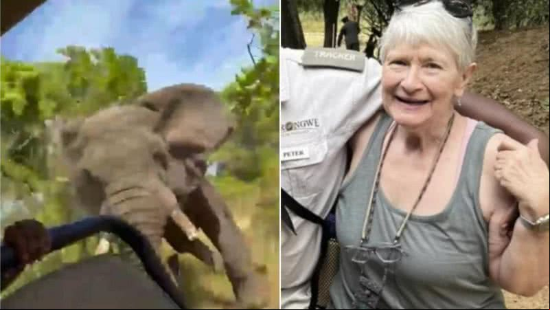 A americana Gail Mattson morreu após ataque de elefante em safári - Divulgação/Facebook