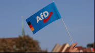 Bandeira da Alternativa para a Alemanha (AfD) - Getty Images