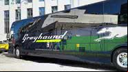 Ônibus utilizado pela russa - Divulgação/Greyhound