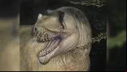 Novo dinossauro com chifres é descoberto a partir de fotos destruídas na Segunda Guerra Mundial - Divulgação/Joschua Knüppe