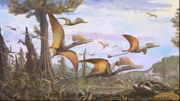 Ilustração representando pterossauros - Divulgação/Natural History Museum
