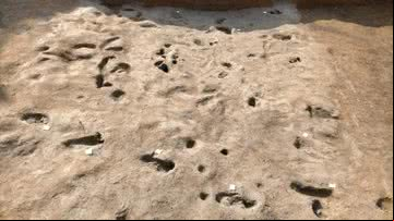 Pegadas encontradas na região - Divulgação/Soprintendenza Archeologia, Belle Arti e Paesaggio per le province di Salerno e Avellino