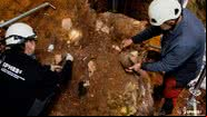 Arqueólogos desenterram os ossos faciais da caverna Sima del Elefante - Divulgação/IPHES