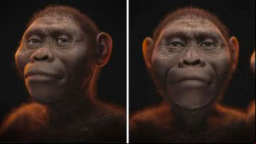 Reconstrução facial de Lucy - Divulgação/Cicero Moraes