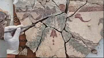 Fragmentos de murais encontrados na Espanha - Divulgação/Vilamuseu