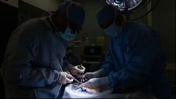 Primeiro transplante de bexiga foi realizado na Califórnia - Divulgação/UCLA