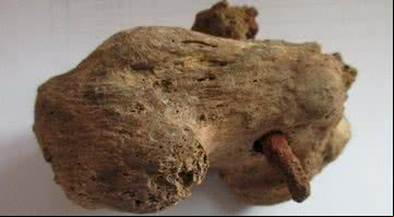 O osso do tornozelo deste esqueleto estava perado por um prego de crucificação - Divulgação / Albion Archaeology