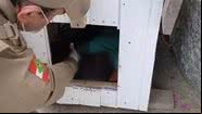 Criança dormindo em casinha de cachorro - Divulgação/Polícia Militar de Santa Catarina