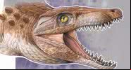 Ilustração de como seria o fóssil de 'avô' de crocodilo - Divulgação/Museu Argentino de Ciências Naturais/Gabriel Lio