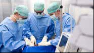 Médicos da startup fazendo testes nos fígados - Divulgação/ Liver4life
