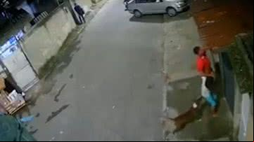 Registro da câmera de segurança do pitbull atacando menino de 9 anos - Divulgação/Twitter/O Globo
