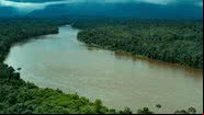 Imagem da Amazônia tirada por um helicóptero - Getty Images