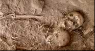 Os restos mortais encontrados - Divulgação/Projeto de Escavações Bethsaida