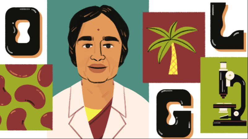 A ilustração que homenageia Kamala Sohonie - Reprodução/Google
